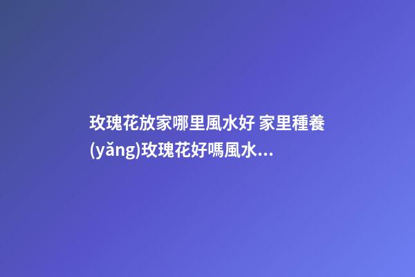 玫瑰花放家哪里風水好 家里種養(yǎng)玫瑰花好嗎風水上有忌諱嗎